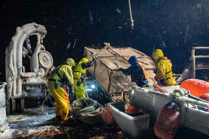 How Much Do Deadliest Catch Crew Make Per Episode?