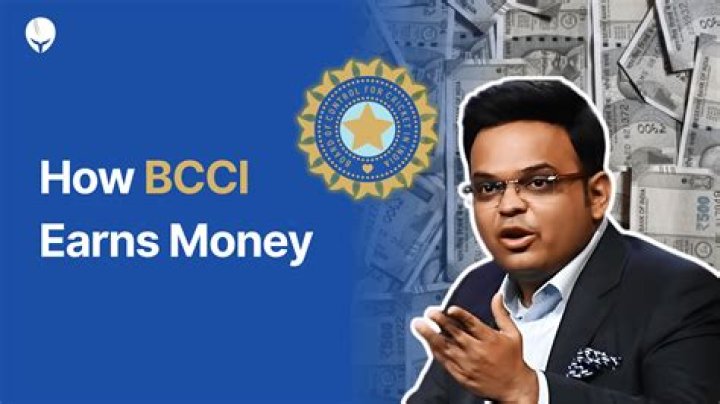 How much money BCCI Earns from IPL?