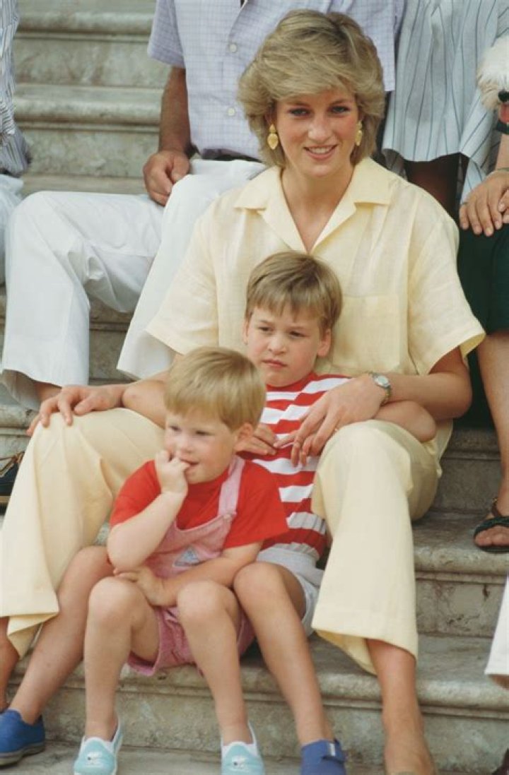 How Princes William and Harry Are Carrying out Princess Diana's Legacy