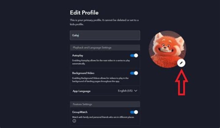 How to change your disney profile picture