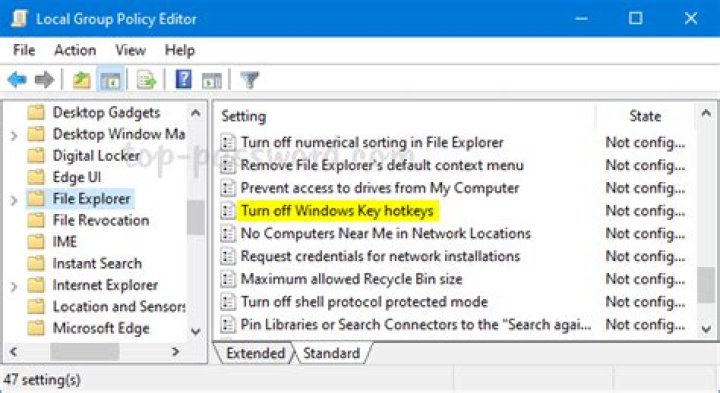 How to disable the built-in “windows key” shortcuts