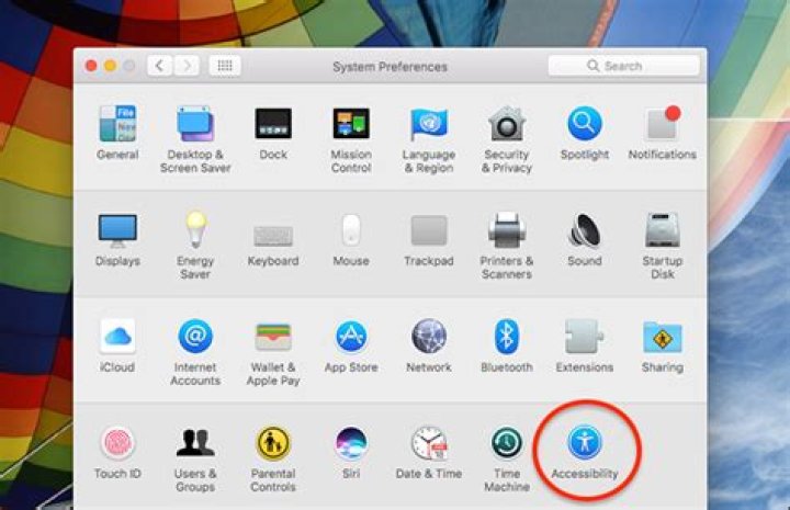 How to disable window transparency in macos