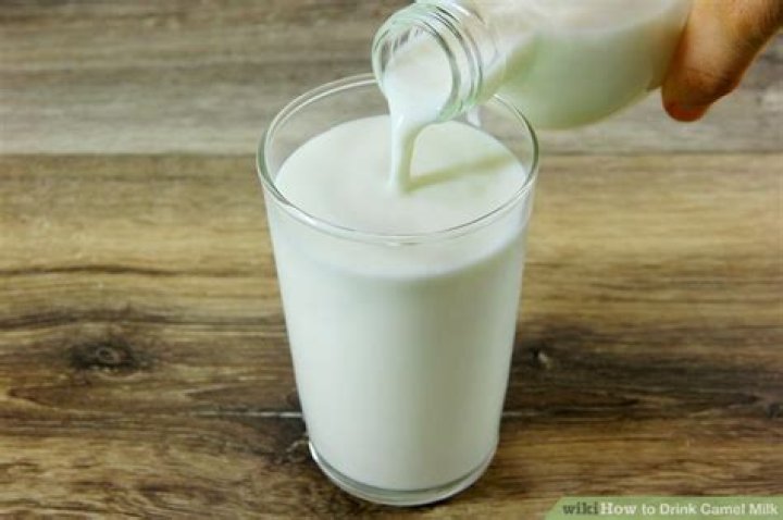 How to drink camel milk