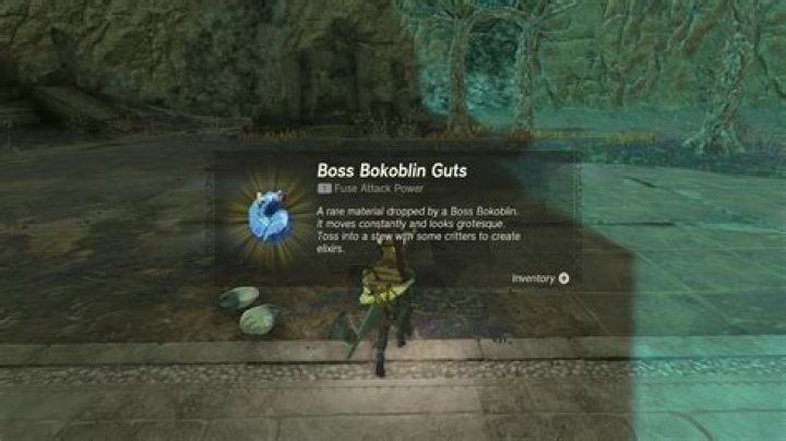 How To Get Boss Bokoblin Guts in Zelda Tears of the Kingdom
