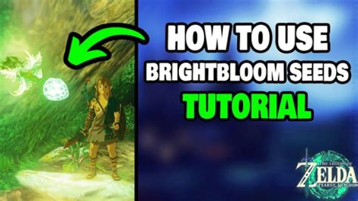 How To Get Brightbloom Seeds in Tears of the Kingdom