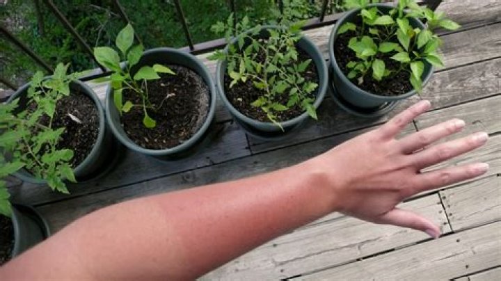 How To Hide A Farmer's Tan Without Making That Uneven Sun Damage Worse
