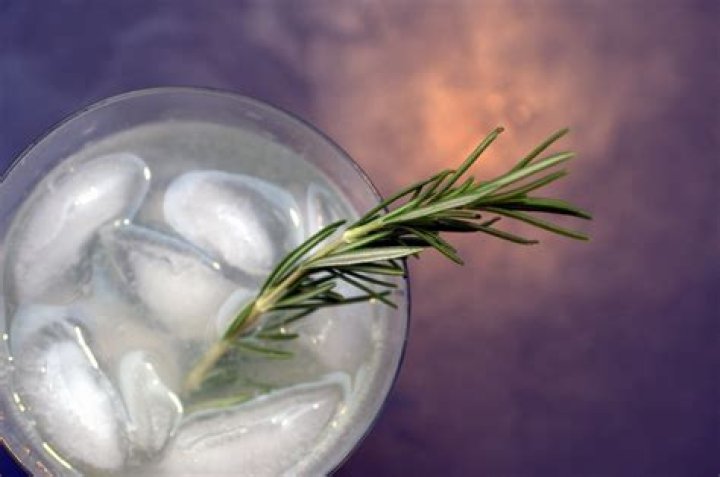 How to Make Lemon-Rosemary Refresher Cocktail