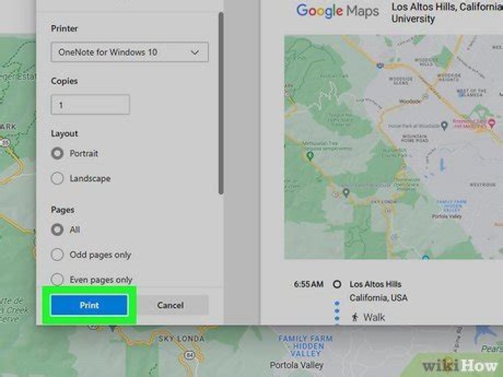 How to print google maps