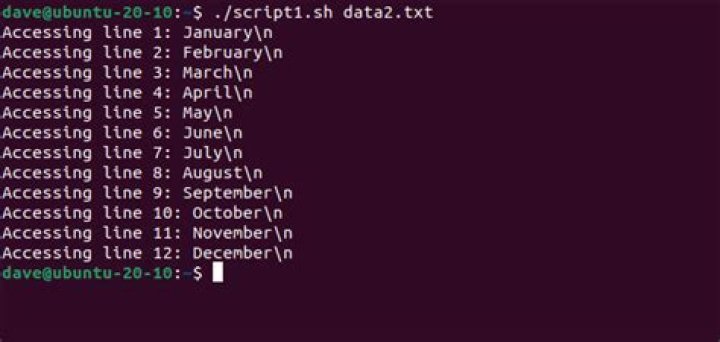 How to Process a File Line by Line in a Linux Bash Script