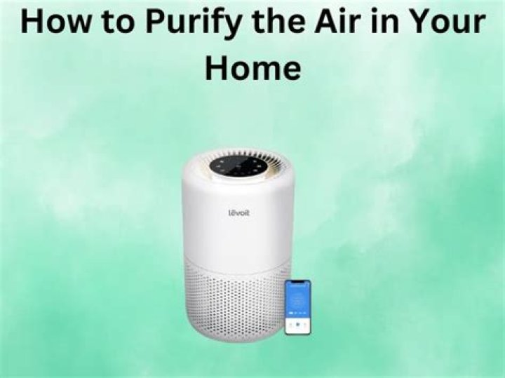 How to purify the air in your home