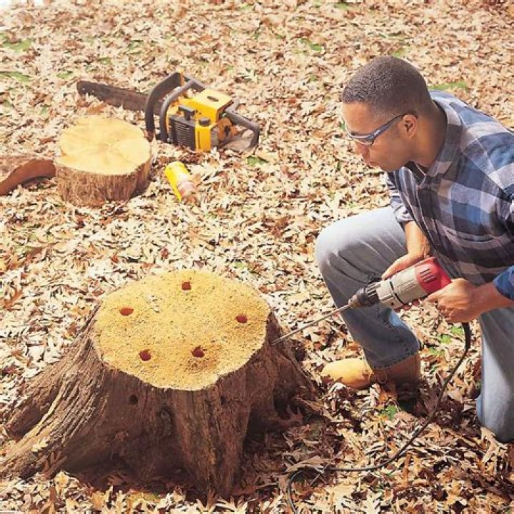 How to remove tree stumps