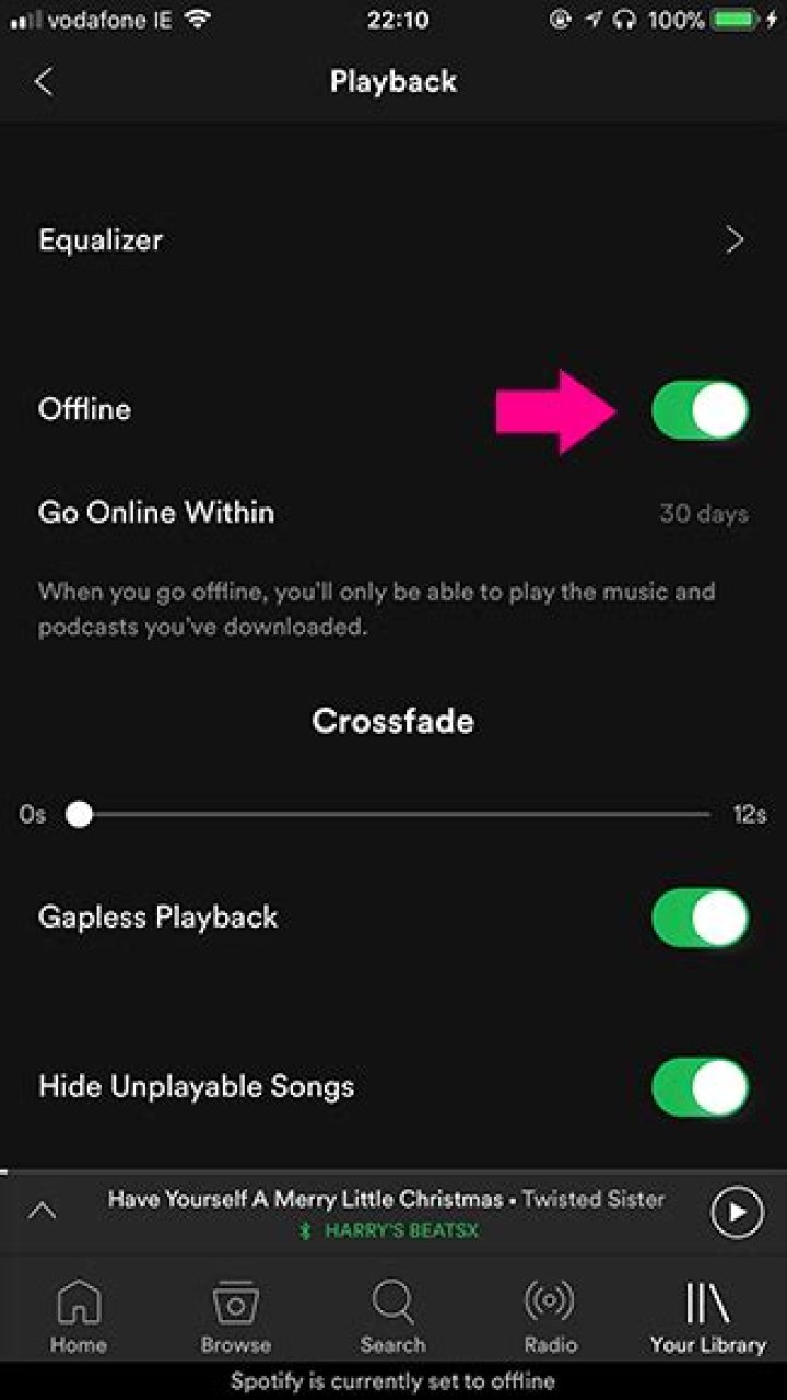 How to save spotify music offline (and stop using mobile data)