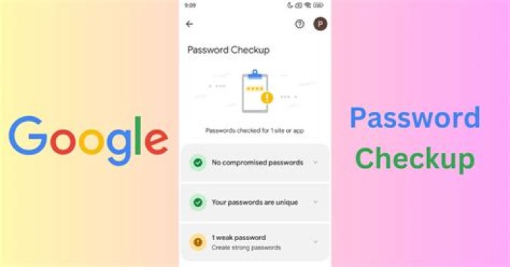 How to use google password checkup