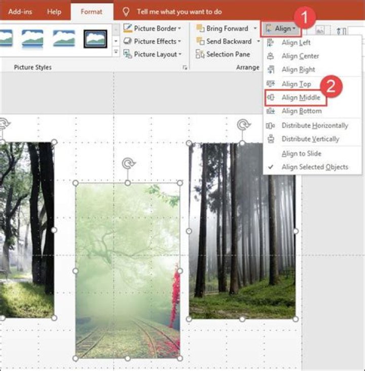 How to use guidelines to line up powerpoint objects