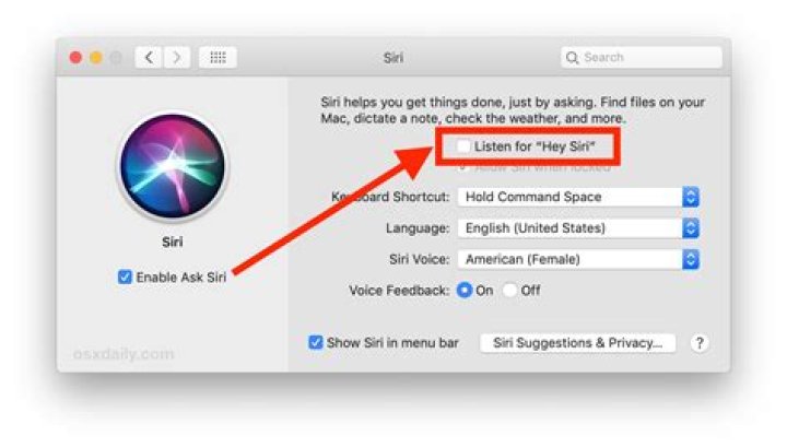How to use “hey siri” to launch siri on your mac