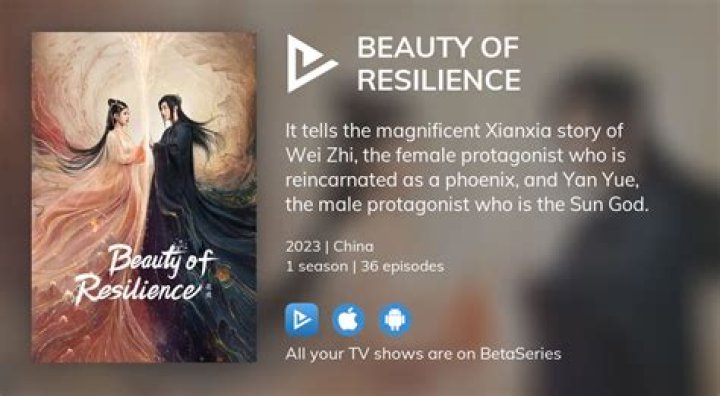 How To Watch Beauty Of Resilience Episodes? Streaming Guide
