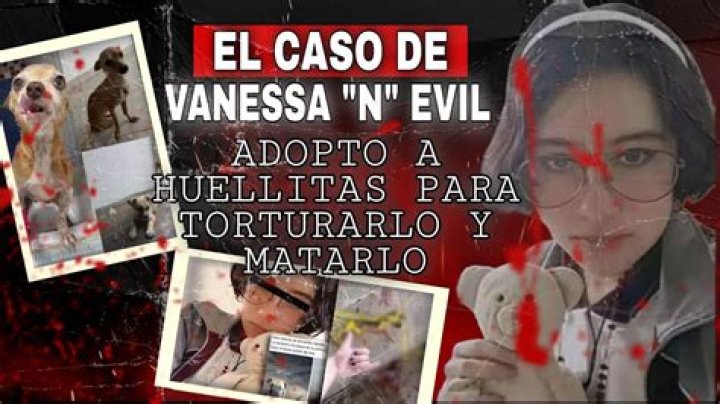 Huellitas Justicia Vanessa n Perro Asesinado Fotos Video de twitter