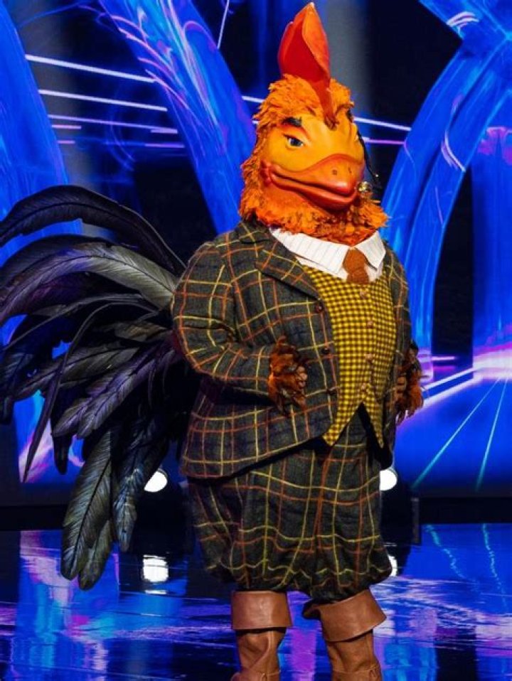 Hugh Sheridan: Facts About The Rooster In Masked Singer Australia 2022