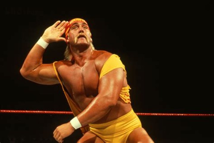 Hulk Hogan's Best Match ever!!