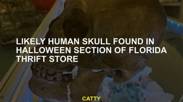 Human skull found for sale in Florida thrift store’s Halloween section