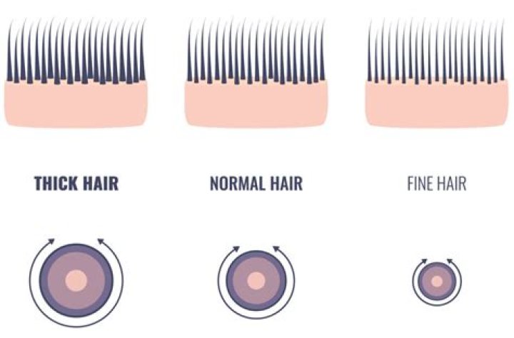 I have the finest hair ever but the serum I found is amazing - my strands are as thick as my thighs these days