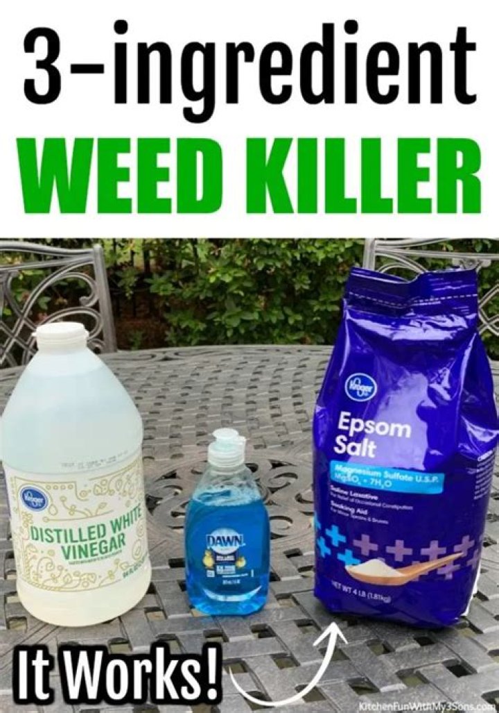 I’m a gardening expert- the five easy DIY methods to kill weeds in an instant