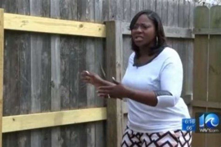 I woke up to find my petty neighbours secretly boarded up my garden fence gate - we’ve been at war for years