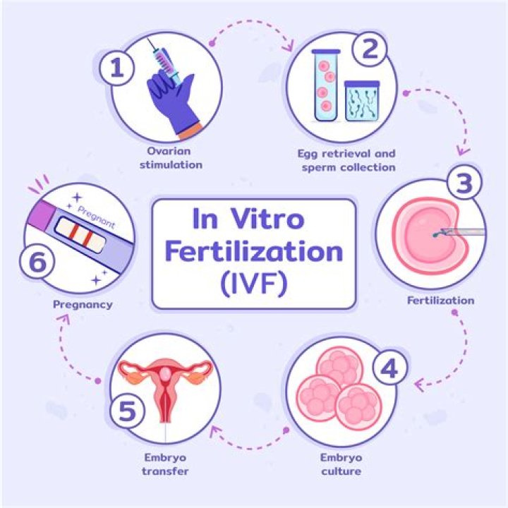 Illinois could expand access to in vitro fertilization