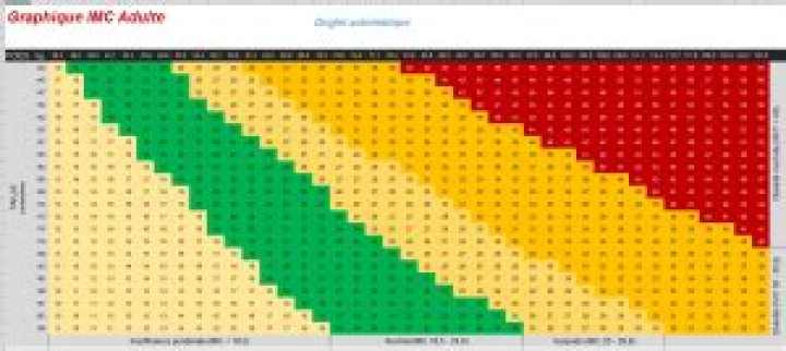 IMC Excel : calculateur, formule, graphique. Simple !