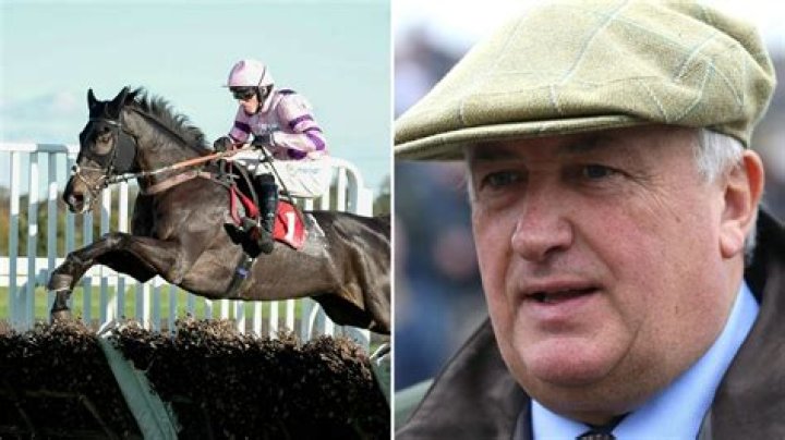 Improving, stylish and ready for Constitution Hill - I'm certain this horse is my best Saturday chance