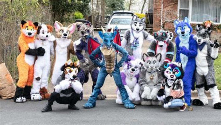 Influencers In Hamster Kombat: The Rising Stars Of The Furry Arena