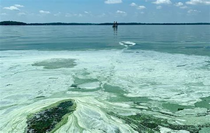 Iowa DNR emphasizes safety as lakes begin to freeze