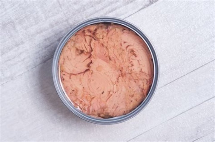 Is canned tuna safe to eat while pregnant?