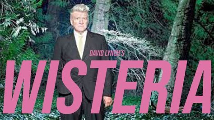 Is David Lynch’s Wisteria TV series premiering at Cannes?