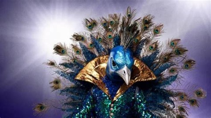 Is Donny Osmond the peacock on The Masked Singer? Wig, jail, LGBTQ flag and other clues all add up