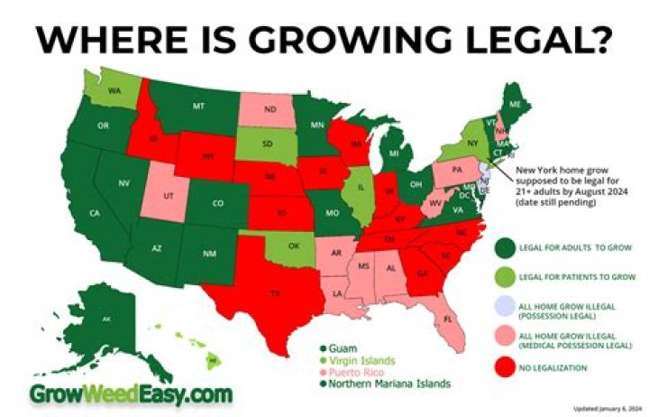 Is It Legal to Grow Cannabis in Illinois