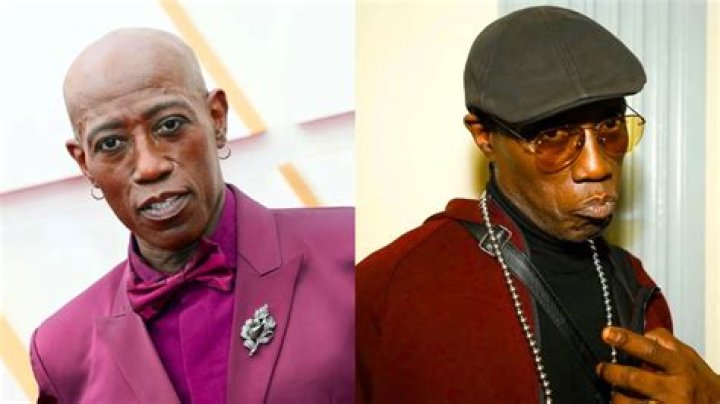 Is Wesley Snipes Gay? The Portrayal of a Drag Queen Makes Fans Wonder if He is Gay!