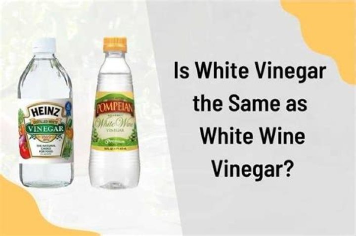 Is white Modena vinegar the same as white vinegar?