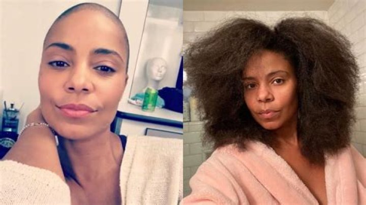 ‘It’s Crazy Thick, Healthy and Beautiful!!’: Sanaa Lathan Shows Off Natural Long Hair Three Years After Shaving her Head