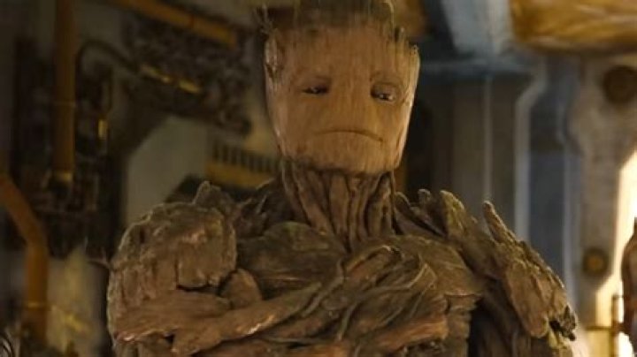 James Gunn Explains How People Learn Groot's Language