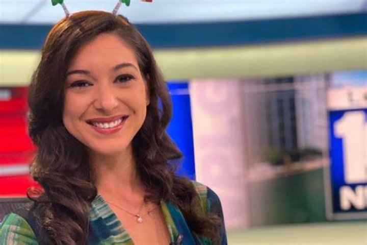 Jenise Fernandez (WPLG) Bio, Wiki, Age, Husband, Salary