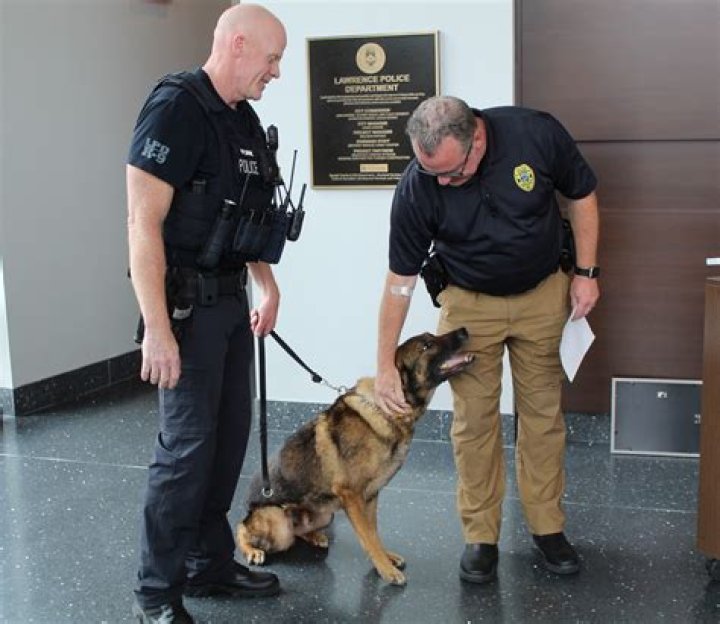 Kansas lawmakers look to increase penalties for harming police dogs