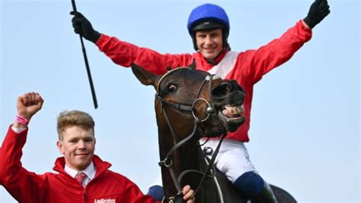 King George VI Chase CONFIRMED runners and jockey bookings with big market move for Nicky Henderson star