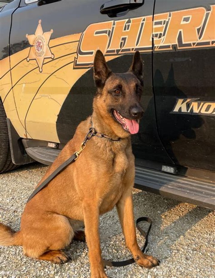 Knox County Sheriff’s Office seeks donations to help K9 program