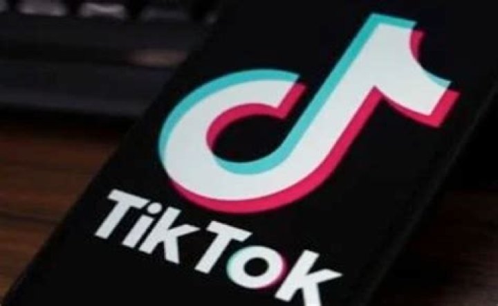 Labia Minora trend on TikTok sparked educational content that will make you double take