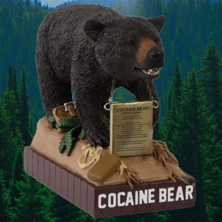 Linda Cook reviews ‘Cocaine Bear’