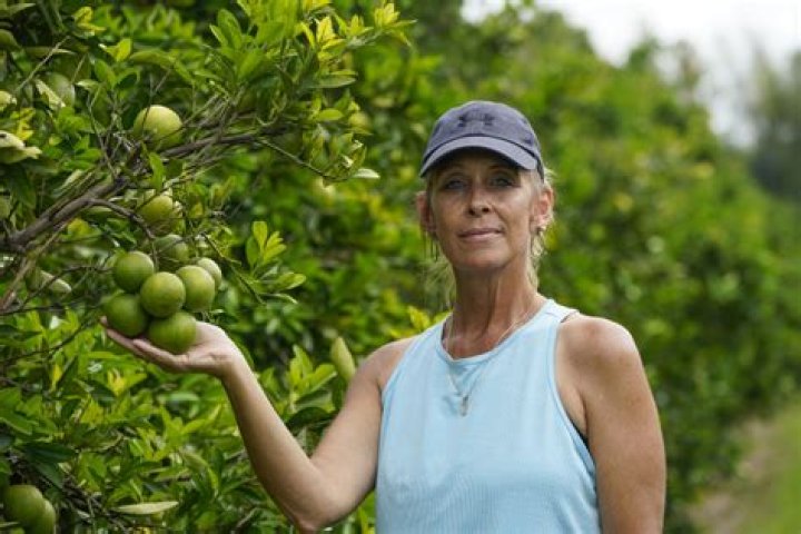 Louisiana citrus farmers are seeing a mass influx of salt water that could threaten seedlings