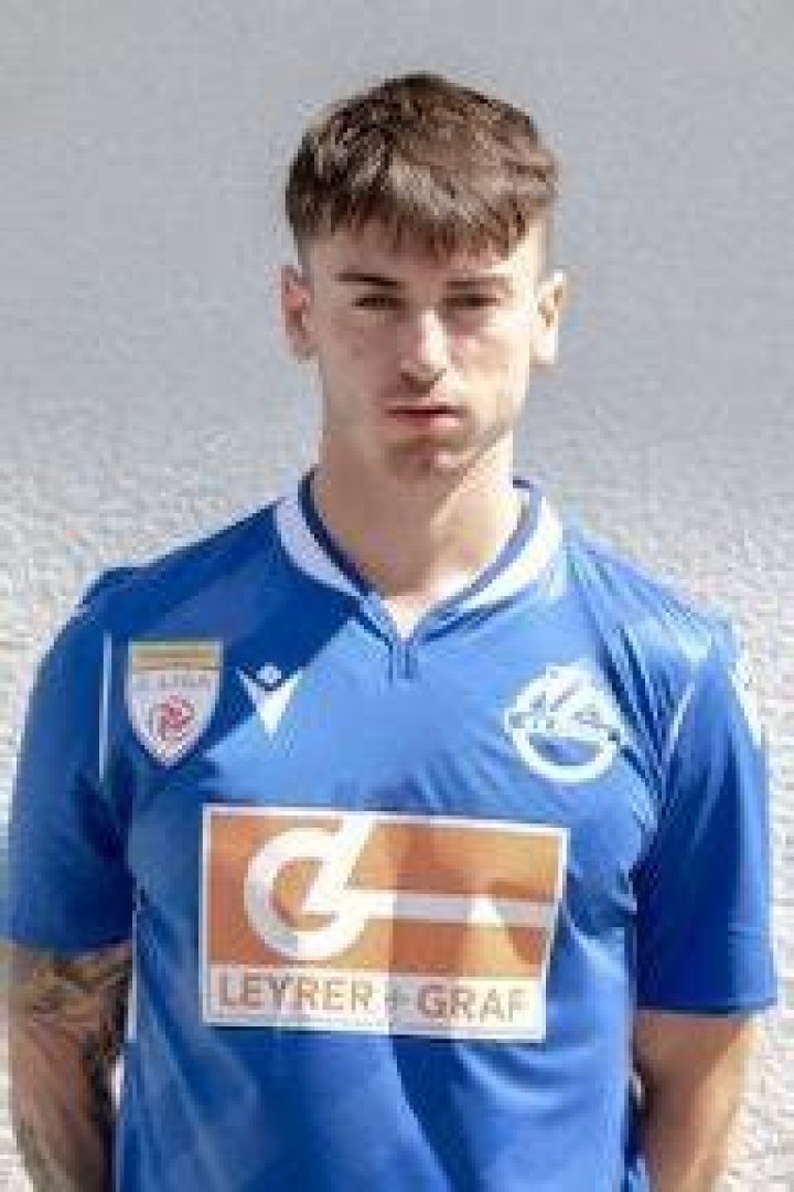 Lucas Scholl - Career stats