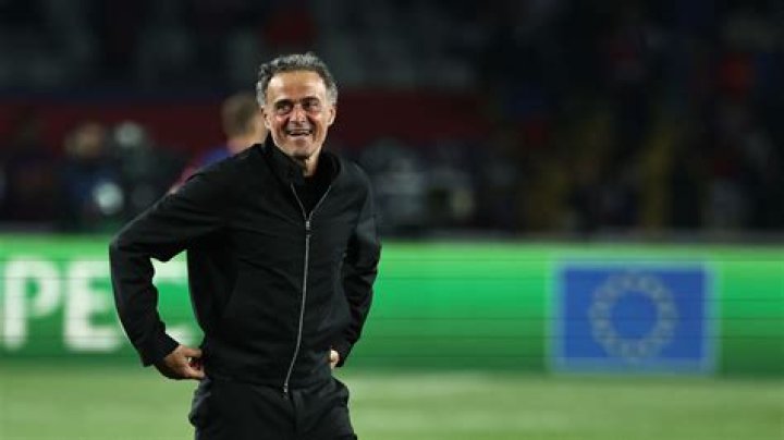 Luis Enrique - Manager profile