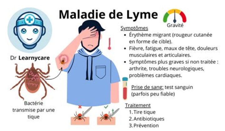 Maladie De Lyme Bella - Bonjour Buzz